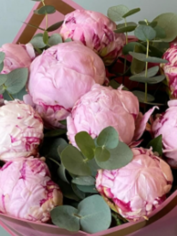  Ankara Çelenk Siparişi - Toz Pembe Şakayık Buketi