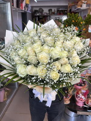 Ankara Çiçekçi - Filamingo Çiçeği Saksıda