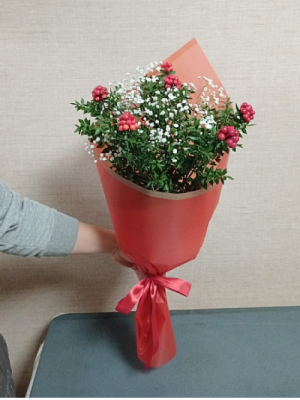  Ankara Çelenk Siparişi - Orkide Aranjmanı